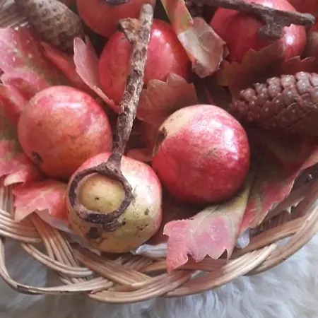 Beeloved Farm Privat bolig Gjirokastër