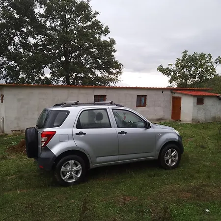 Проживание в семье Zeko Farm