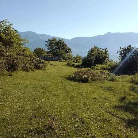 Farm Zeko *