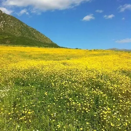 Farm Zeko * Αργυρόκαστρο