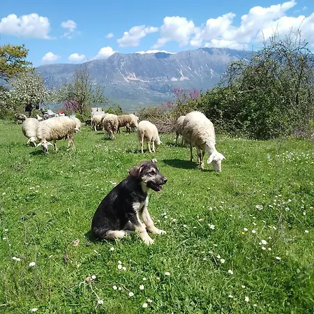 Rum i privatbostad Farm Zeko