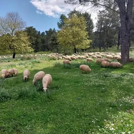 Farm Zeko Αργυρόκαστρο
