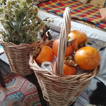 Farm Zeko *