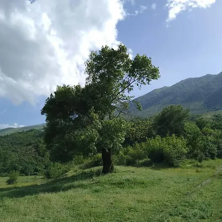 Farm Zeko Rum i privatbostad Gjirokastër
