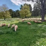 Farm Zeko Gjirokastër