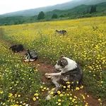 Farm Zeko