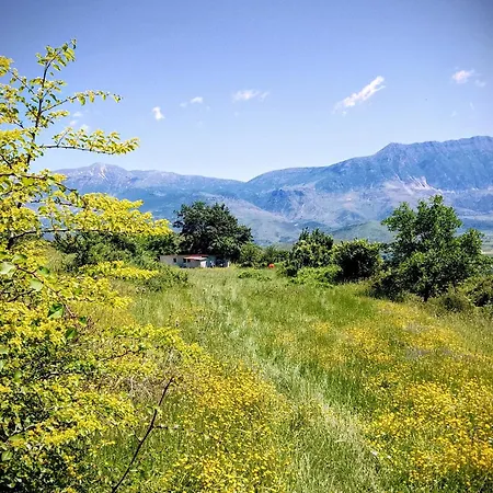 בית אירוח Beeloved Farm Gjirokastër