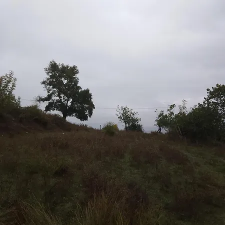 בית אירוח Beeloved Farm Gjirokastër