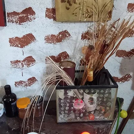 Farm Zeko בית אירוח