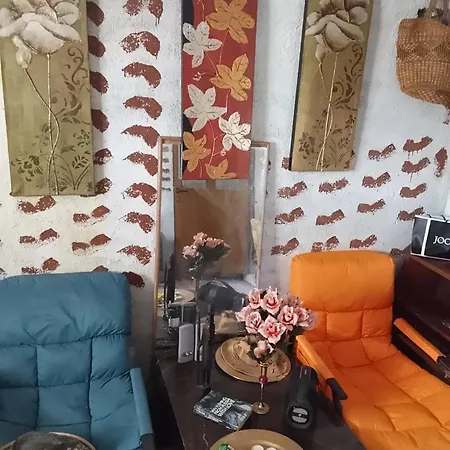 Farm Zeko בית אירוח Gjirokastër