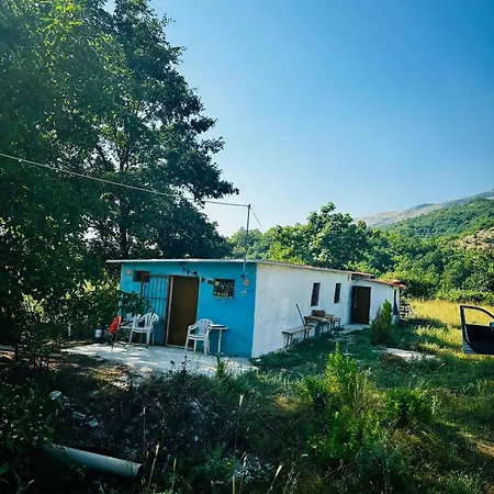 Farm Zeko *