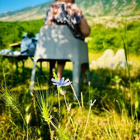 Farm Zeko Gjirokastër