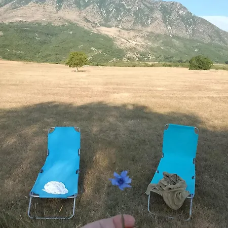 Farm Zeko