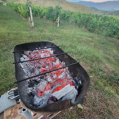 בית אירוח Farm Zeko *