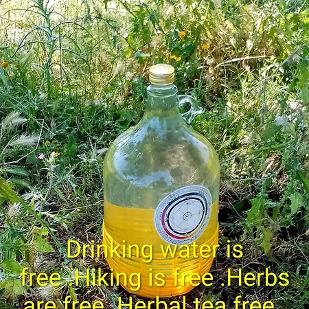 Farm Zeko *