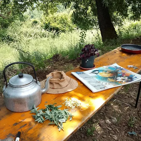 Farm Zeko * Gjirokastër