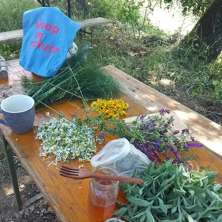Farm Zeko *