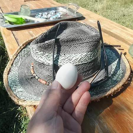 Farm Zeko