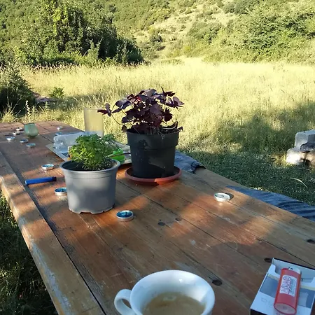Farm Zeko בית אירוח Gjirokastër