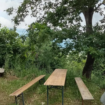 בית אירוח Farm Zeko Gjirokastër