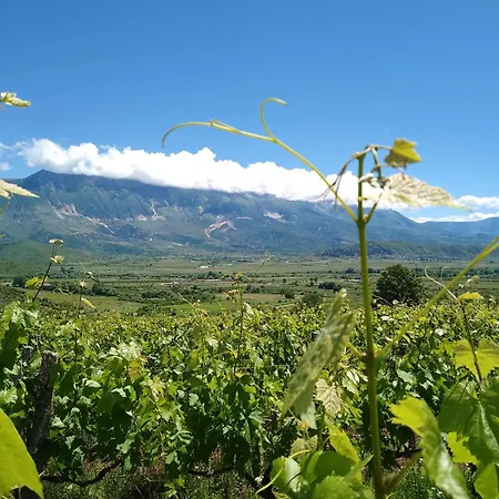 Farm Zeko Quarto em Acomodações Particulares Gjirokastër