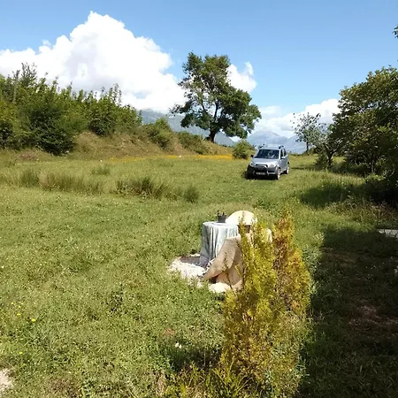 Farm Zeko